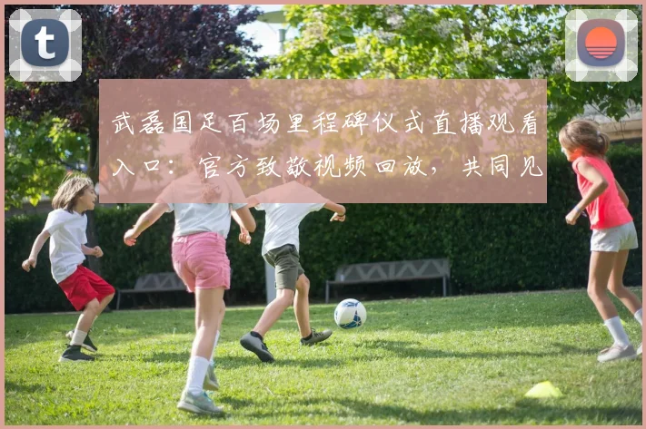 武磊国足百场里程碑仪式直播观看入口：官方致敬视频回放，共同见证2026年武磊百场纪念勋章